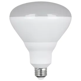 15.5 W (120W Replacement) Daylight (5000K) BR40 Dimmable Reflector LED (2-Pack)