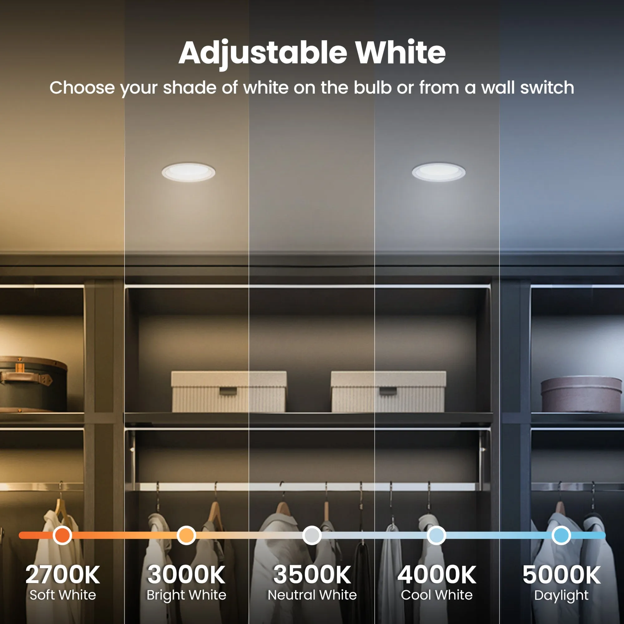 5W (50W Replacement) Adjustable White PAR20 Dimmable LED Bulb (2-Pack)