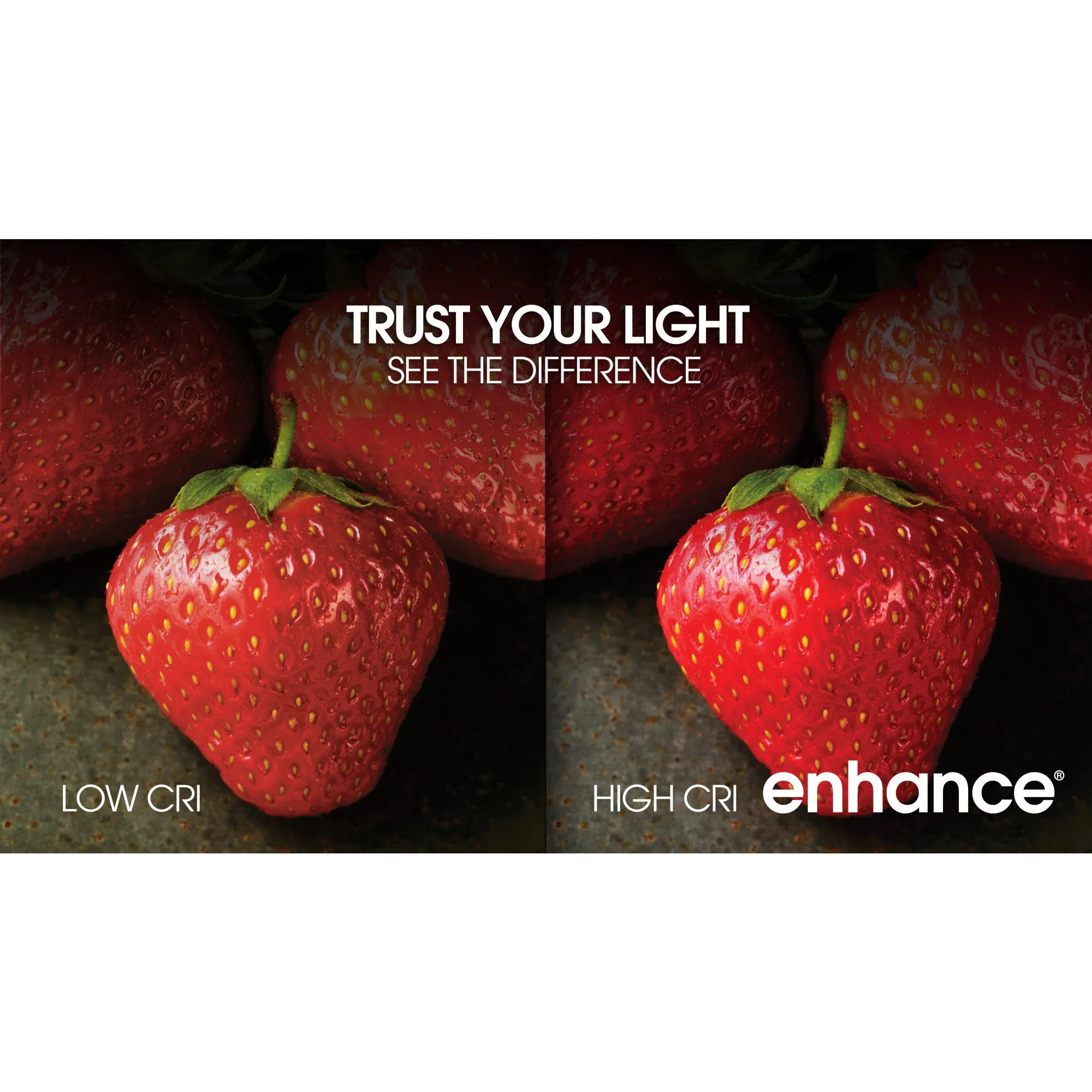 8.8W (60W Replacement) Daylight (5000K) A19 General Purpose LED (10-Pack)