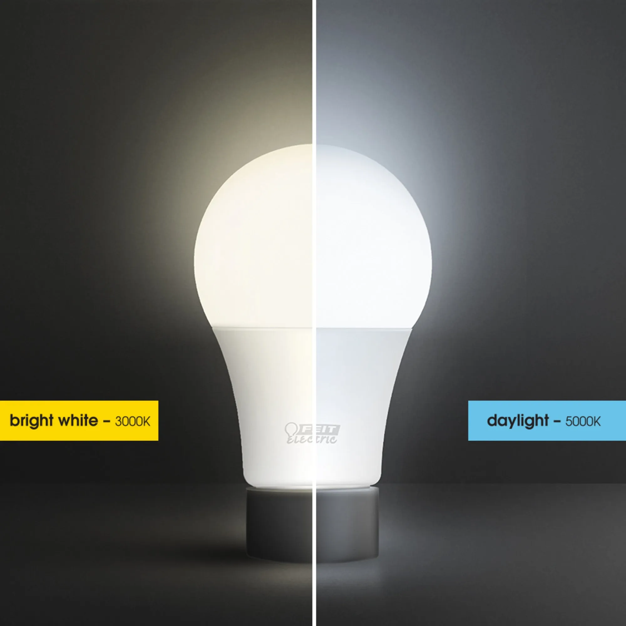 8.8W (60W Replacement) Daylight (5000K) A19 General Purpose LED (10-Pack)