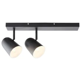 Brilliant 2 Light 36W Ayr Spotlight - Black Matt | 42413/06