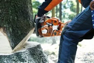 Husqvarna 50GA Gas Chainsaw 3/8" Pitch Professional Kit - 562XP