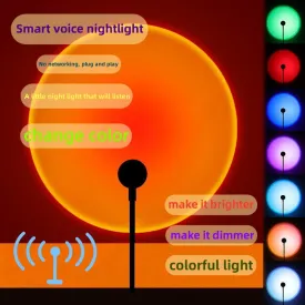 Intelligent Night Light Voice Control