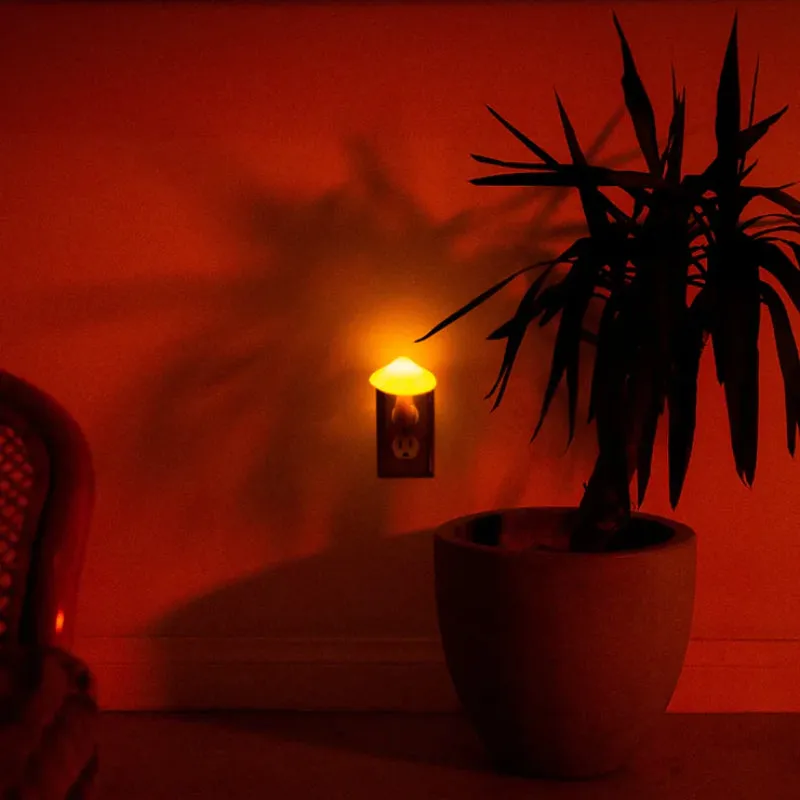 Mushroom Design Wall Lamp