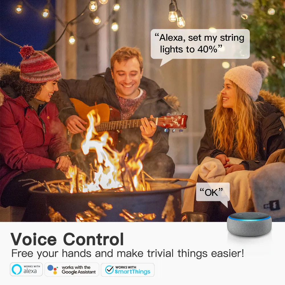 Treatlife Smart Outdoor Dimmer, 400W, IP44, Works with Alexa and Google Home