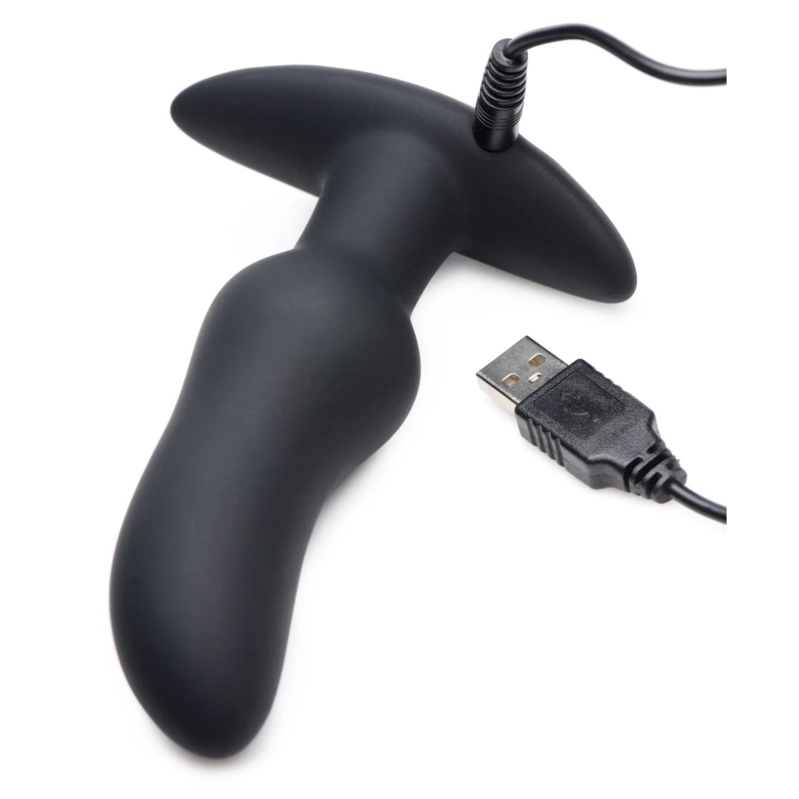 Voice Activated 10x Vibrating Prostate Plug With Remote Control
